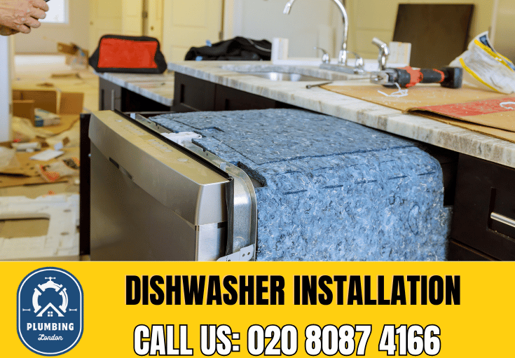 dishwasher installation Brixton 