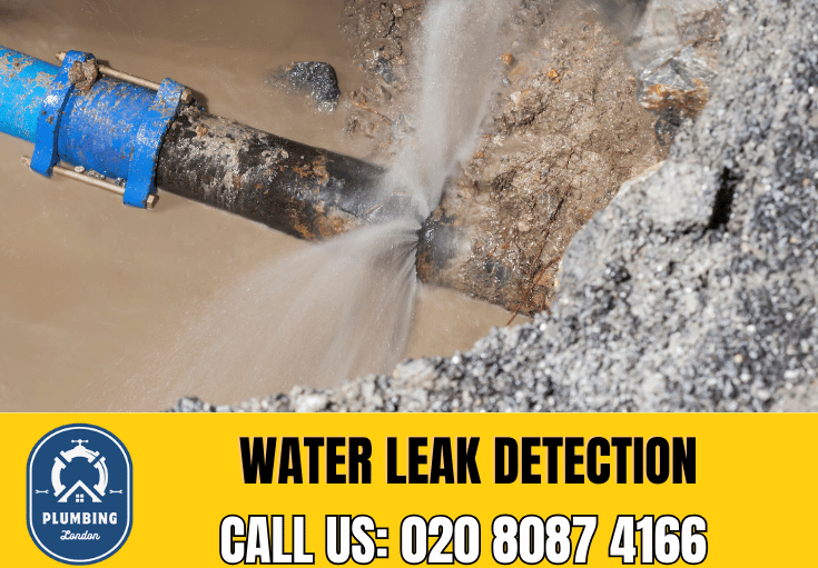 leak detection Brixton 