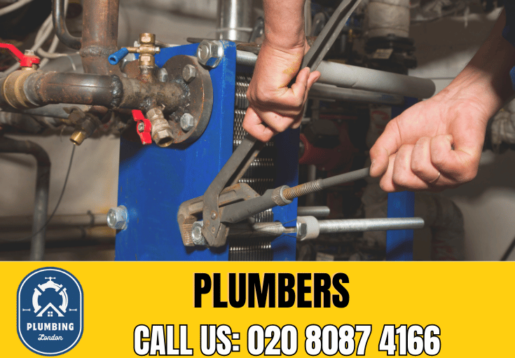  plumber Tulse Hill