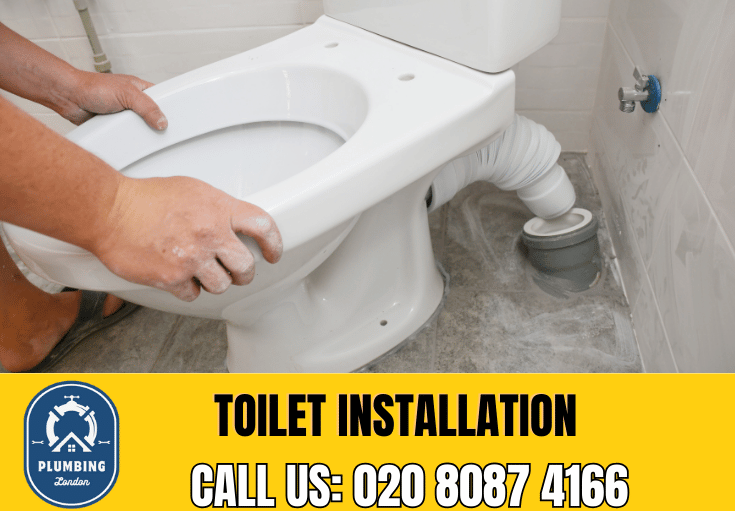 toilet fitters Brixton 